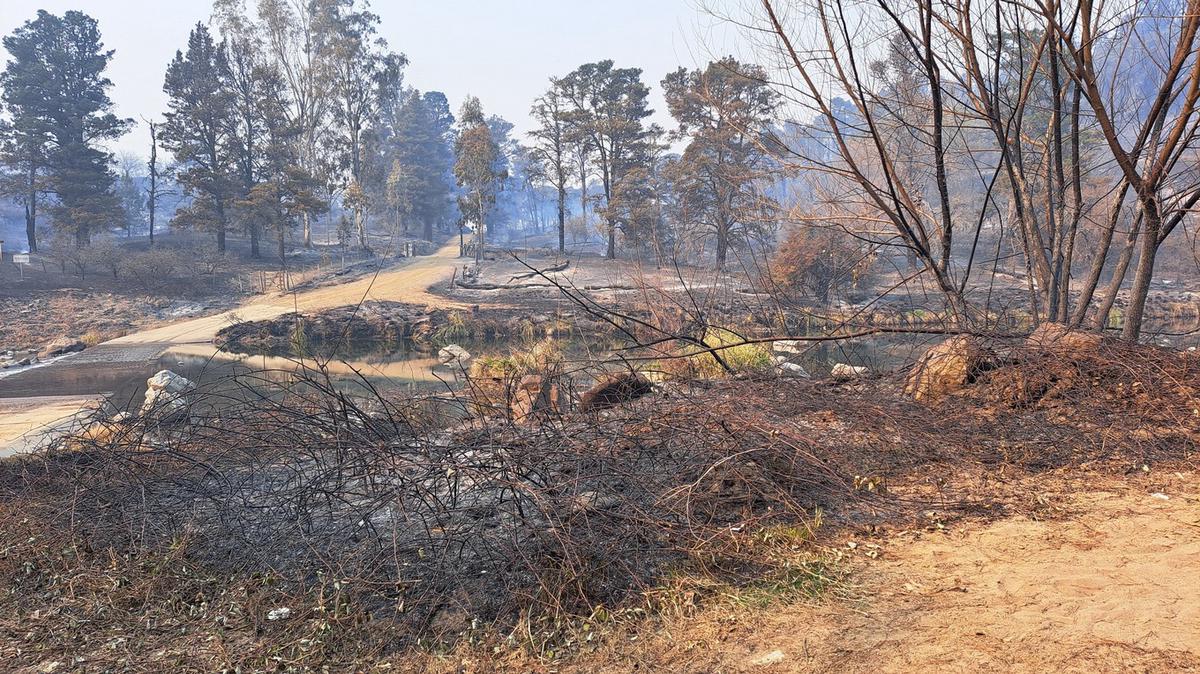 FOTO: El Durazno, arrasado por el fuego.