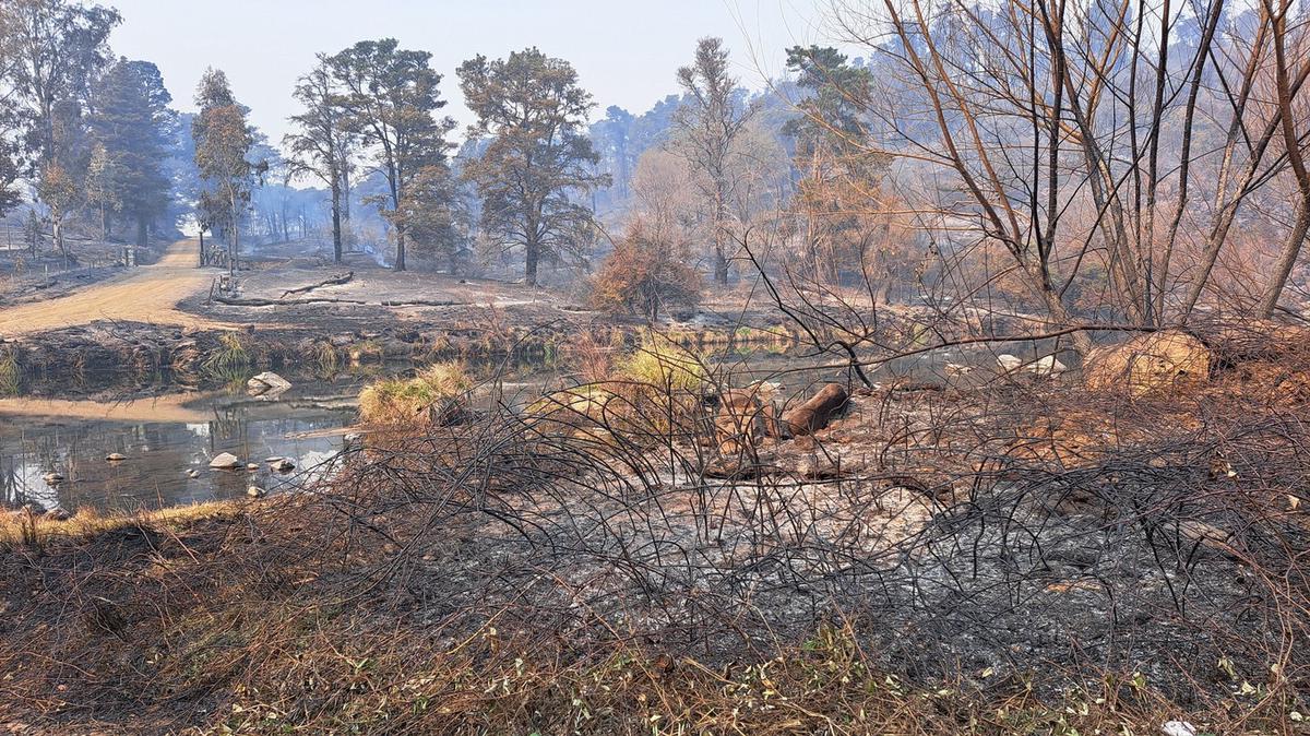 FOTO: El Durazno, arrasado por el fuego.