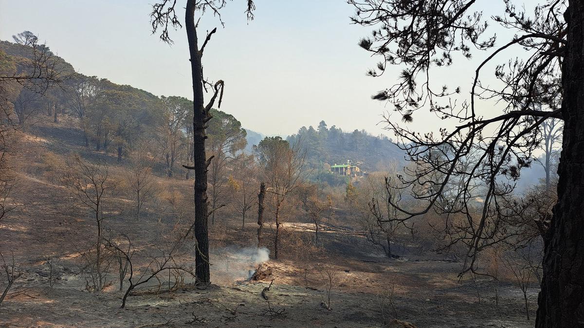 FOTO: El Durazno, arrasado por el fuego.