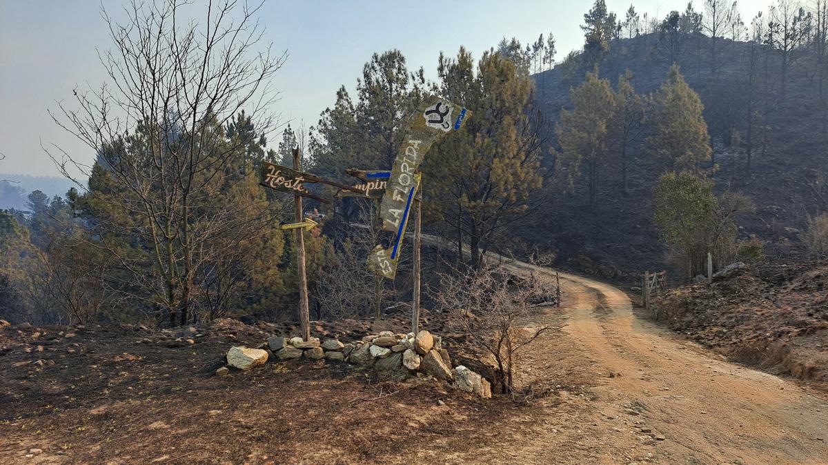 FOTO: El Durazno, arrasado por el fuego.