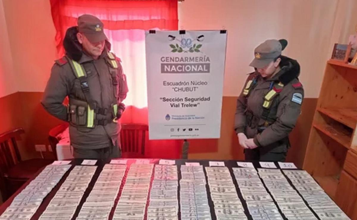 FOTO: Gendarmería secuestró más de 96 mil dólares en Chubut.