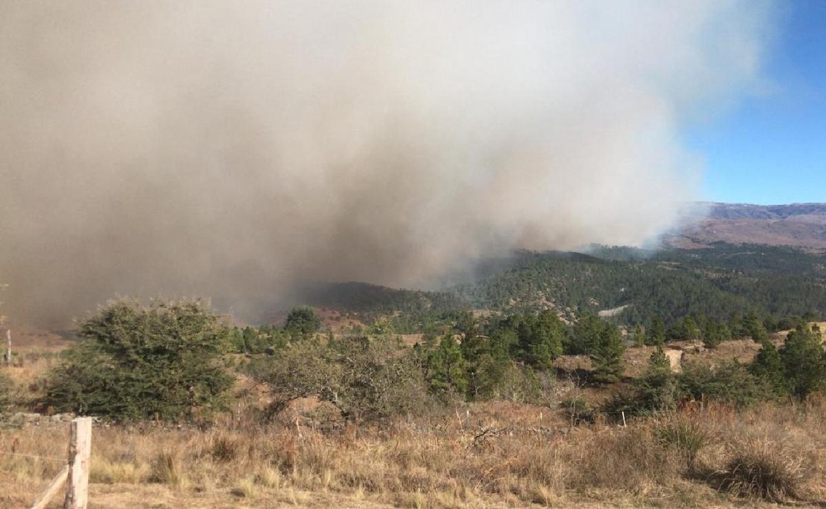 FOTO: Combaten un voraz incendio en Calamuchita. (Foto: Policía de Córdoba)