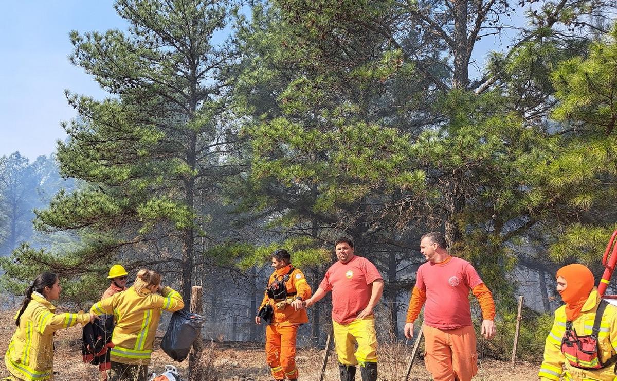 FOTO: Está contenido el fuego en El Durazno. (Foto: Federico Borello/Cadena 3)